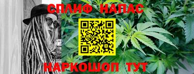ALPHA PVP Гай