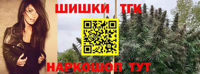 ALPHA PVP Гай